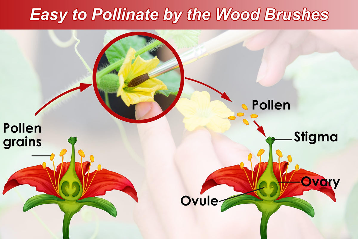 BENYRUAI pollinating brush soft wool tips gently transfers pollen