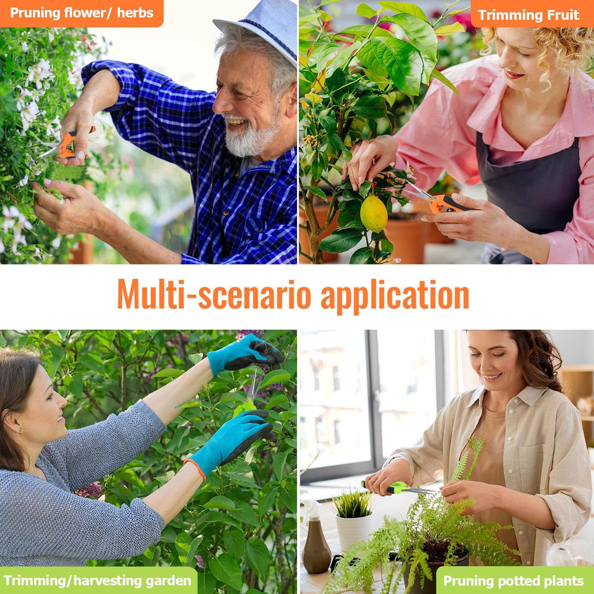 BEoffer pruning shears enable precise cutting of thin shoots and delicate growth.
