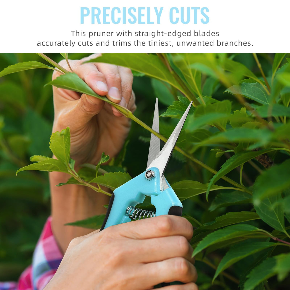 BEoffer straight stainless steel blades deliver clean cuts for healthy growth.