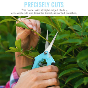 BEoffer straight stainless steel blades deliver clean cuts for healthy growth.