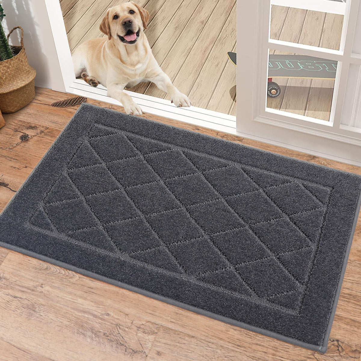 BEQHAUSE Dirt Trapper door mat at the front door captures dirt and moisture