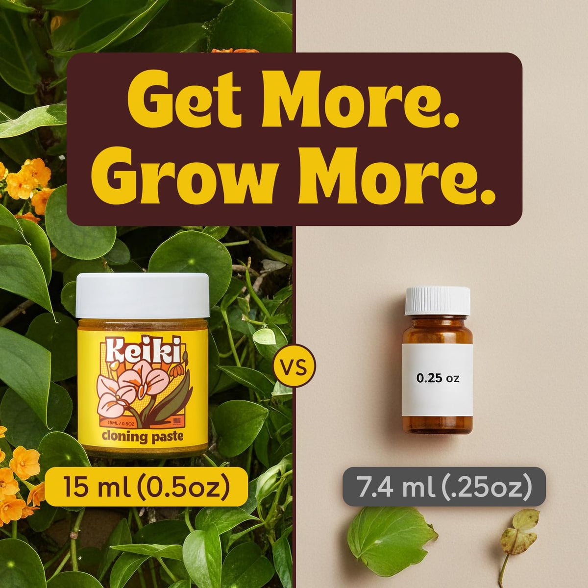 Rice-grain dab of Berkland Keiki Paste on a dormant plant node.