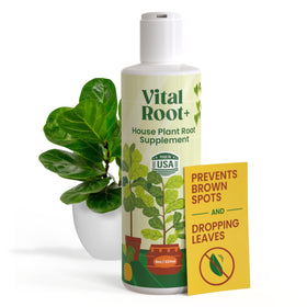 Berkland Root Supplement bottle-cap demonstrates easy dosing for healthier roots.