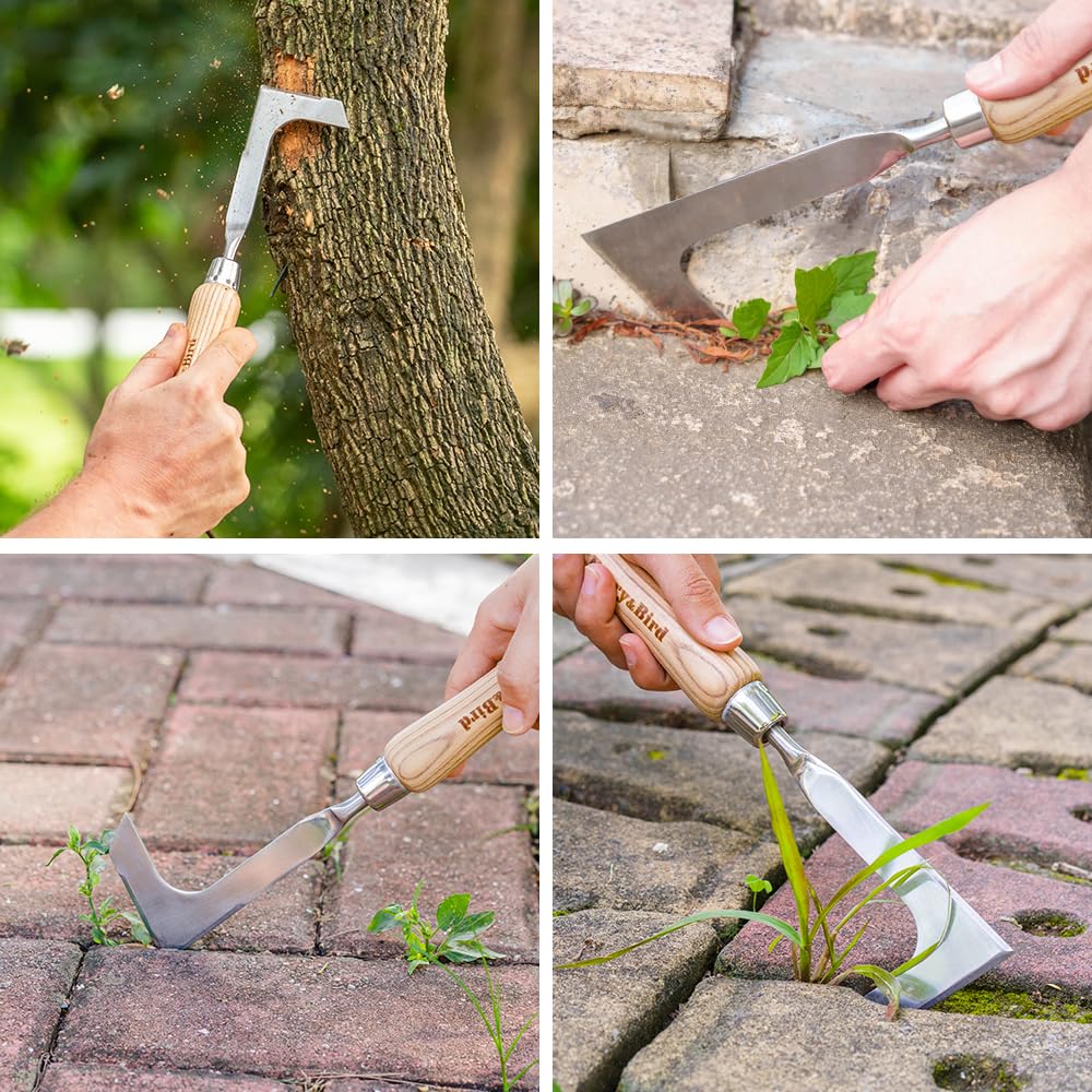 Berry&Bird stainless steel weeder shows rust-resistant construction for longevity.