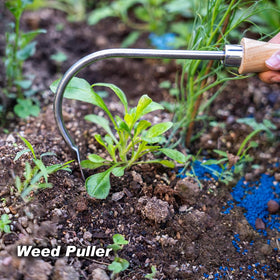 Berry&Bird weeder doubles as digger and edger for tidy borders