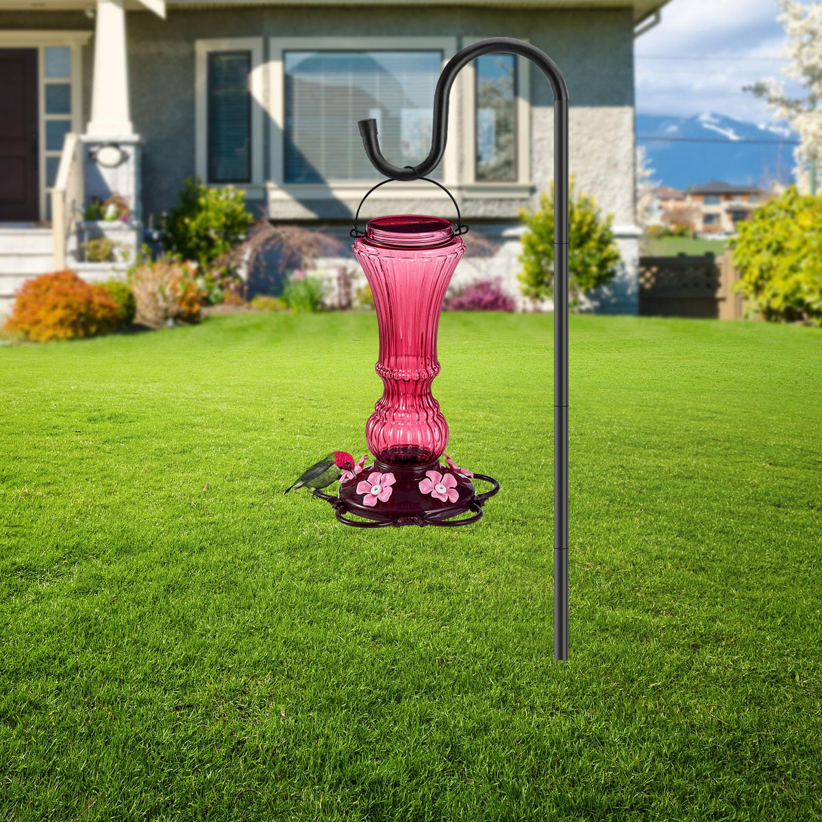 Beserie feeder holds 20 oz nectar for longer bird visits.