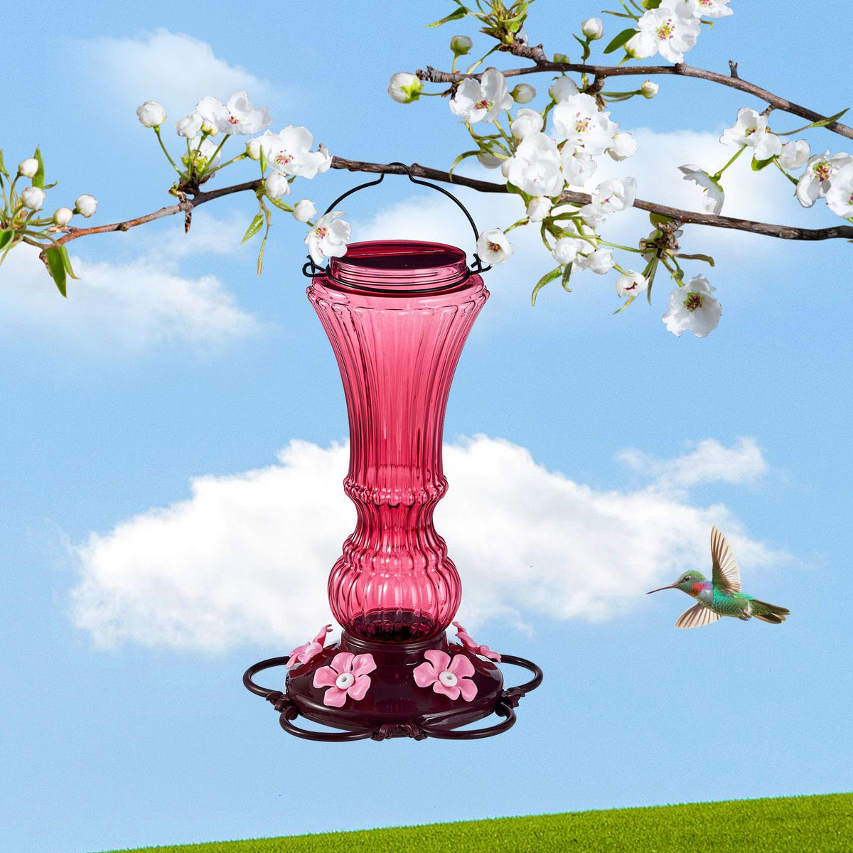 Red transparent Beserie bottle shows nectar level while adding backyard color.