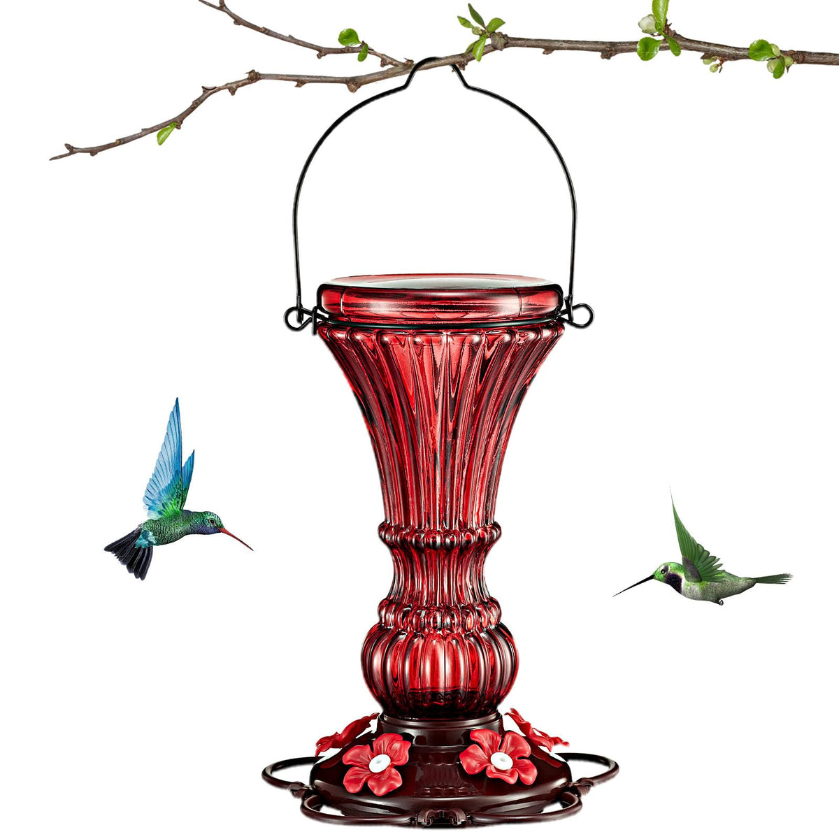 Beserie glass hummingbird feeder with red glass and 5 ports to attract hummingbirds.