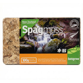 Besgrow premium sphagnum moss 100g pack, ready to support moisture-loving orchids.