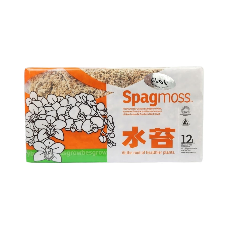 Besgrow Spagmoss 100mm strands ideal for orchid root development and moisture retention.