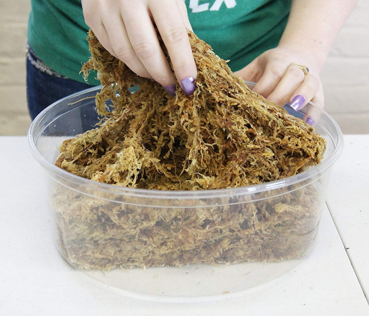 Besgrow Spagmoss high water holding capacity shown in dry pack.