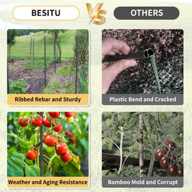 Besitu stake for trees and shrubs provides reliable garden plant support.