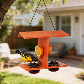 Beslands Oriole Feeders dual jelly cups provide easy jelly servings for birds.
