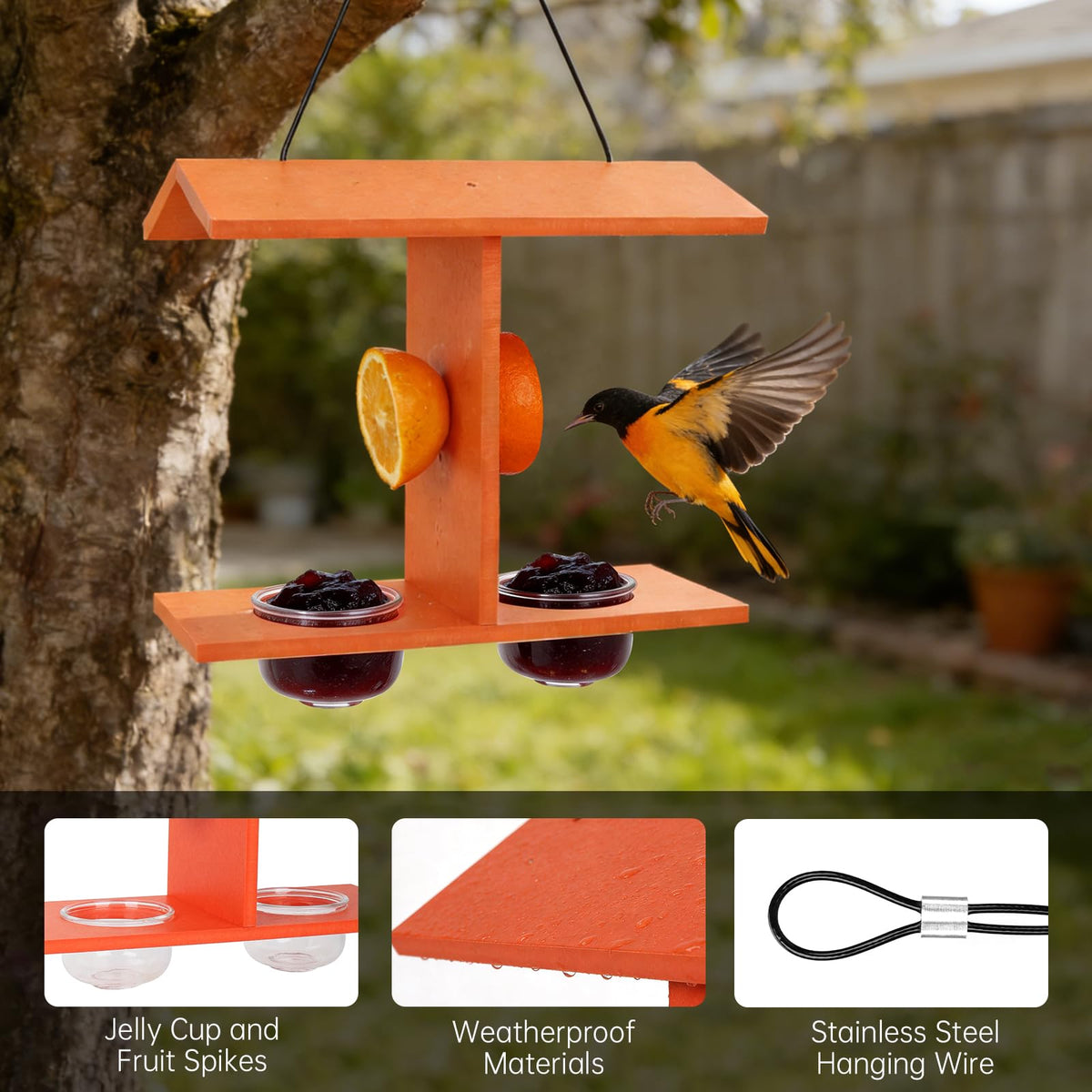 Beslands Oriole Feeders orange pegs hold fruit halves securely for birds.