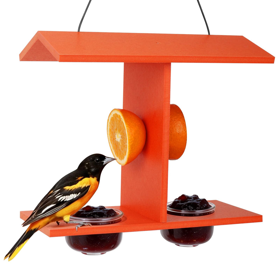 Beslands Oriole Feeders for outdoor hanging offer spacious feeding for several orioles.