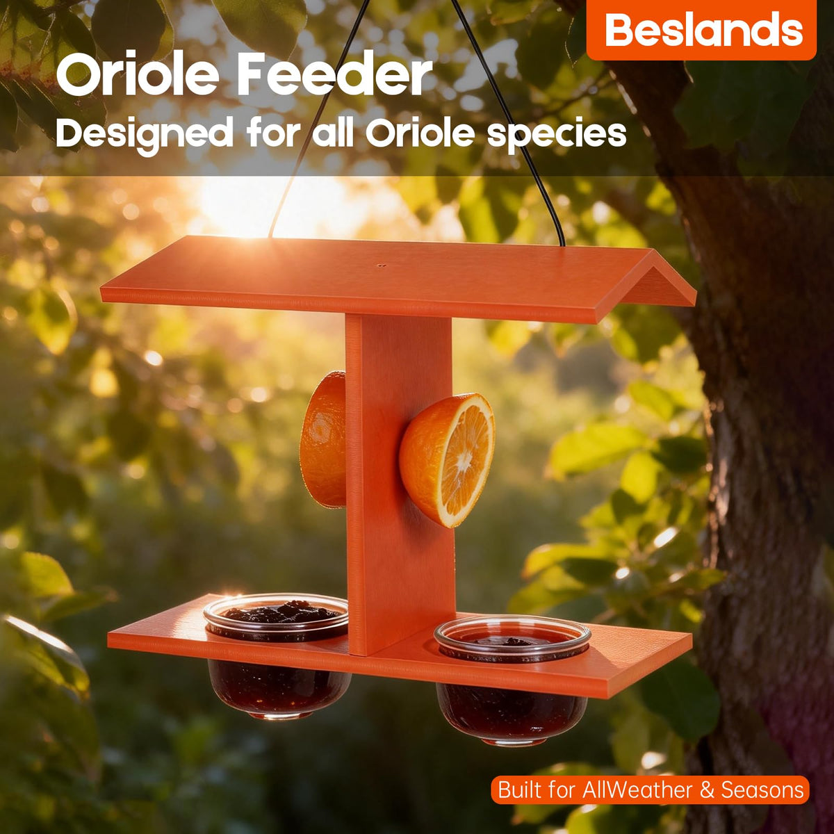 Beslands Oriole Feeders recycled HDPE ensures durable weather-ready use.
