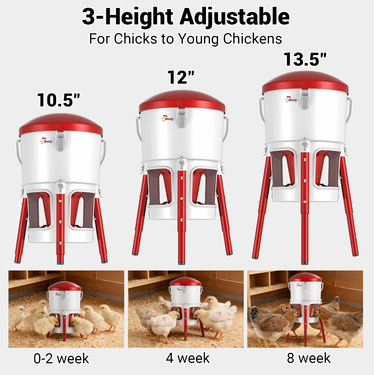 Besly 30oz/2L capacity minimizes refills and keeps feed accessible.