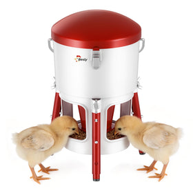 Besly chick feeder keeps feed off bedding, reducing contamination.