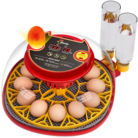 Besly incubator 360° dome view enables clear egg monitoring during incubation