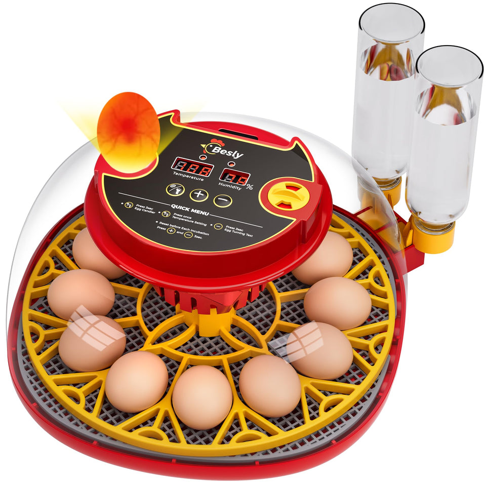 Besly incubator 360° dome view enables clear egg monitoring during incubation