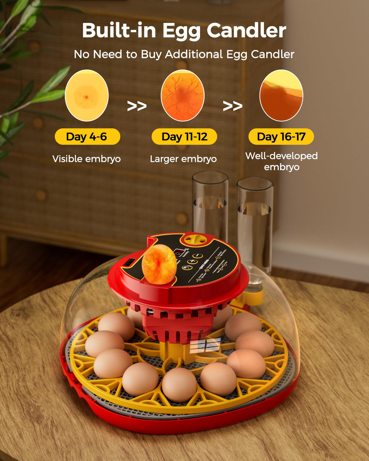 Besly incubator dual humidity control maintains stable moisture for hatch comfort