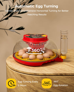Besly incubator transparent egg trays allow inspection without disturbance