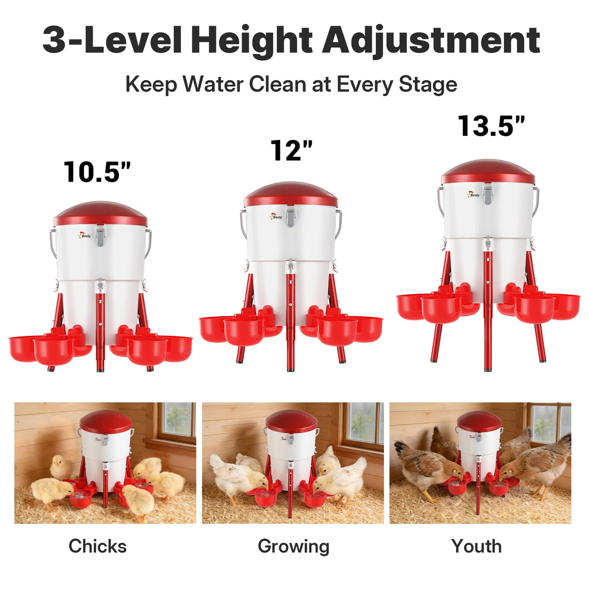 Besly kit included ensures ready-to-use poultry hydration solution.