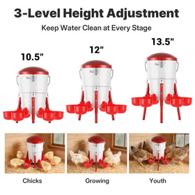 Besly kit included ensures ready-to-use poultry hydration solution.