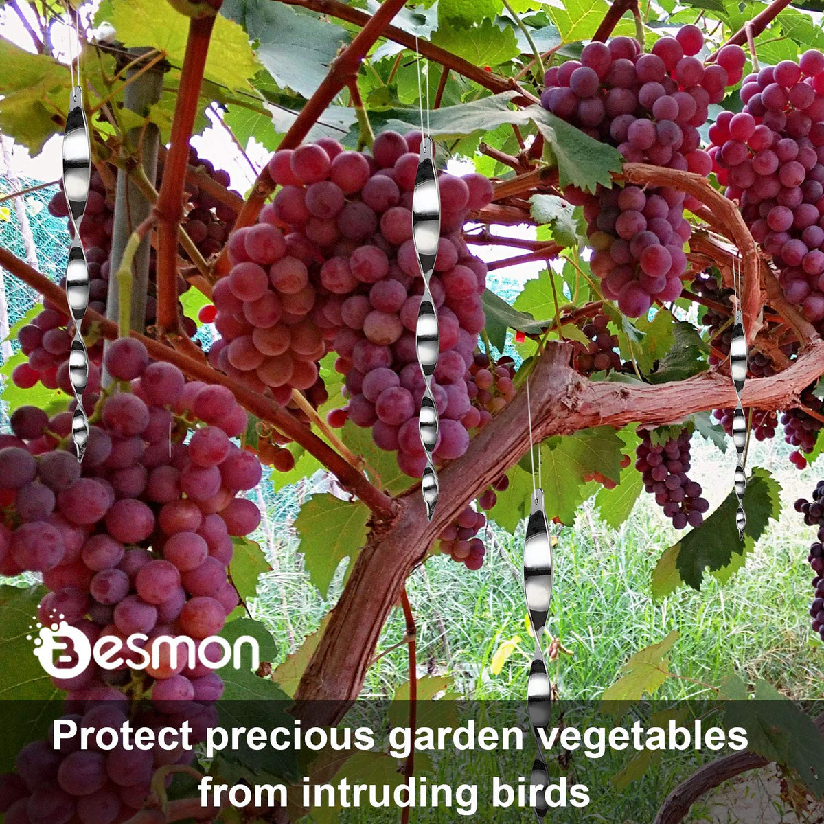 Besmon rod with crack-resistant mirror for durable outdoor use