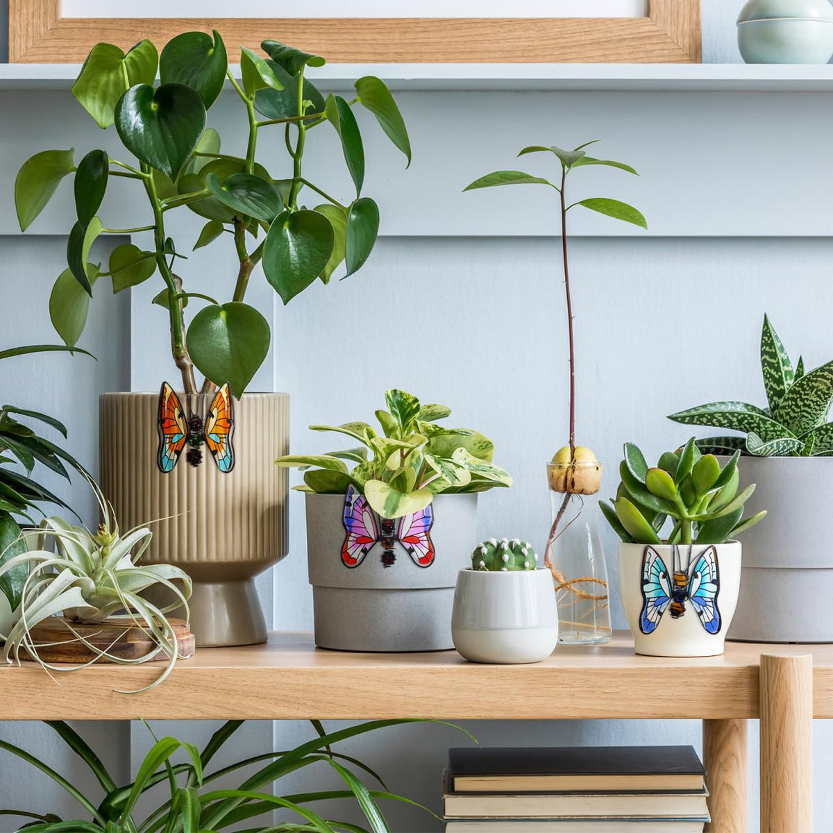 BESPORTBLE vibrant butterfly accents for sunroom display