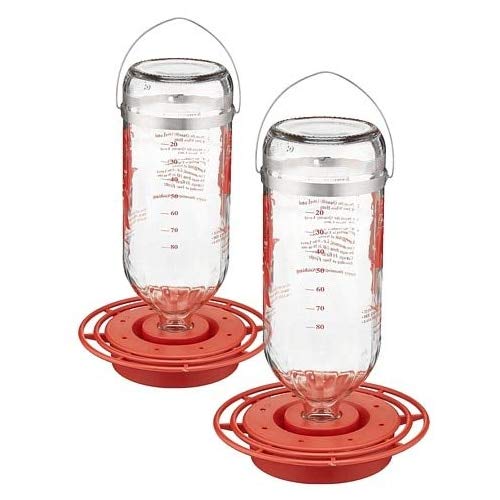 Best-1 glass hummingbird feeder front view with eight ports and 32 oz capacity.