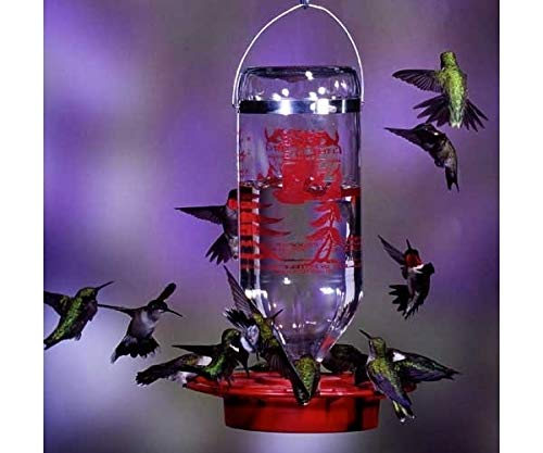 Best-1 glass feeder with removable base for easy cleaning after use.