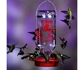 Best-1 glass feeder with removable base for easy cleaning after use.