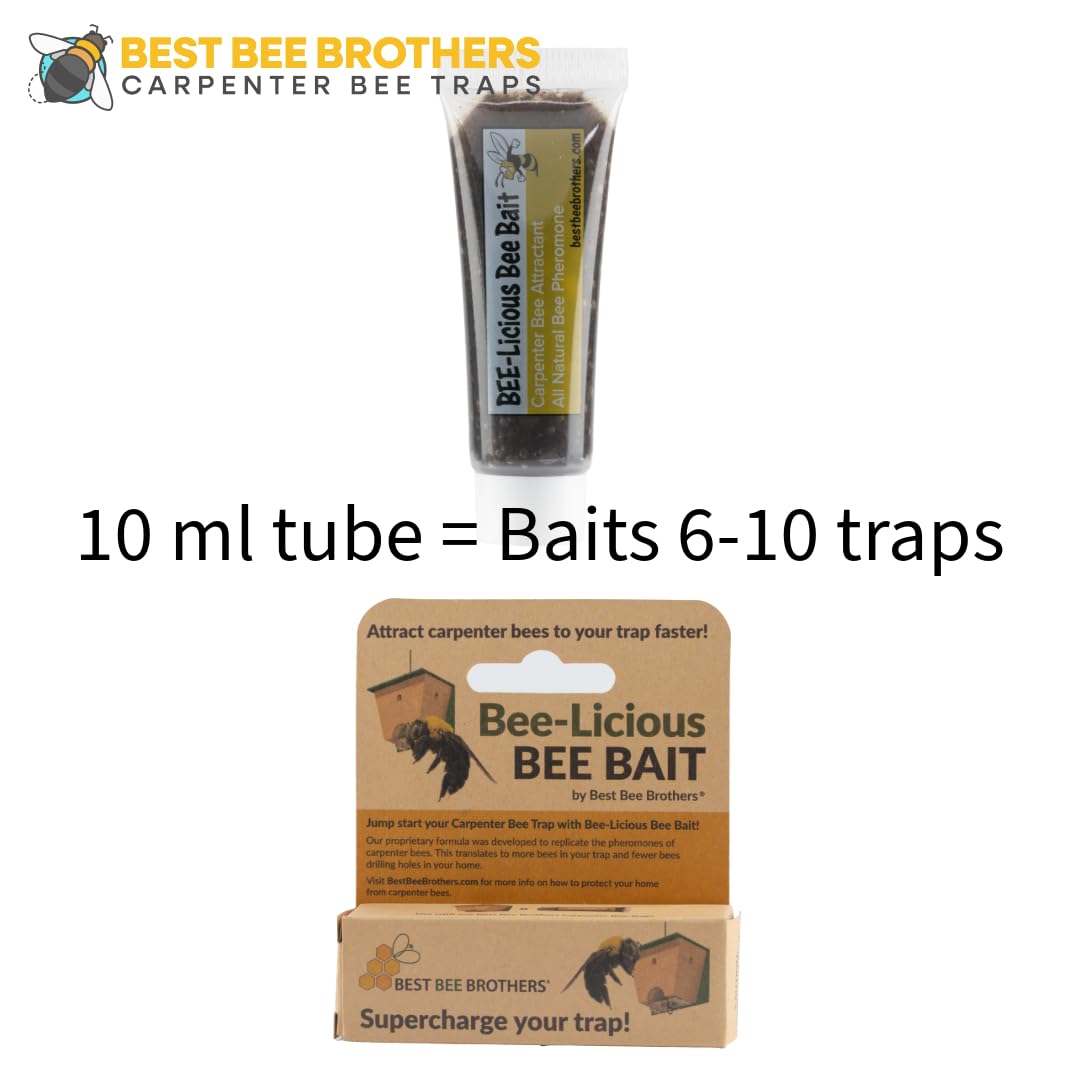 Best Bee Brothers Bee-Licious bait apply-dime-size demonstrates easy application for effective trapping.