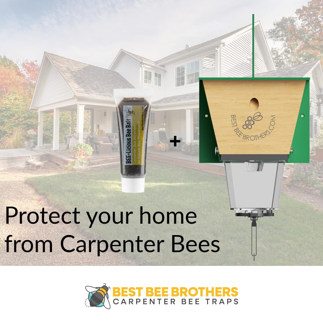 Best Bee Brothers Bee-Licious bait-safe-home design minimizes exposure for families around the property.