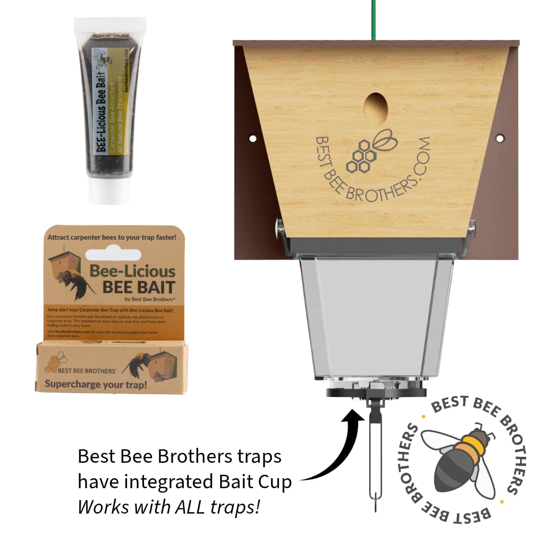 Best Bee Brothers Bee-Licious bait-traps-in-use shows fast setup and continuous monitoring of activity.