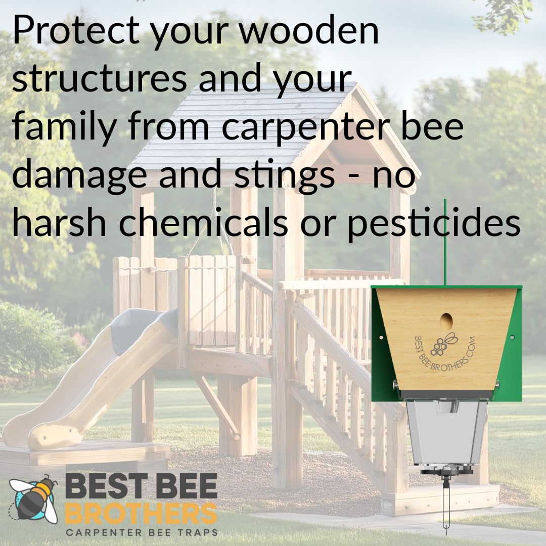 Chemical-free trap promotes safe outdoor use near families and pets