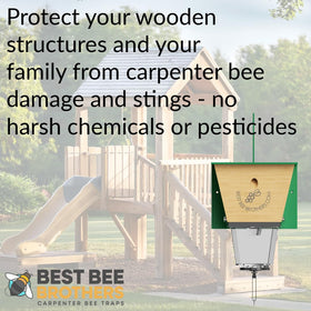 Chemical-free trap promotes safe outdoor use near families and pets