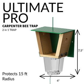 Outdoor bee trap provides 15ft radius protection around wooden structures