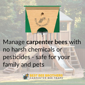 Best Bee Brothers Turbo Trap 2.0 bee vault open for easy disposal.
