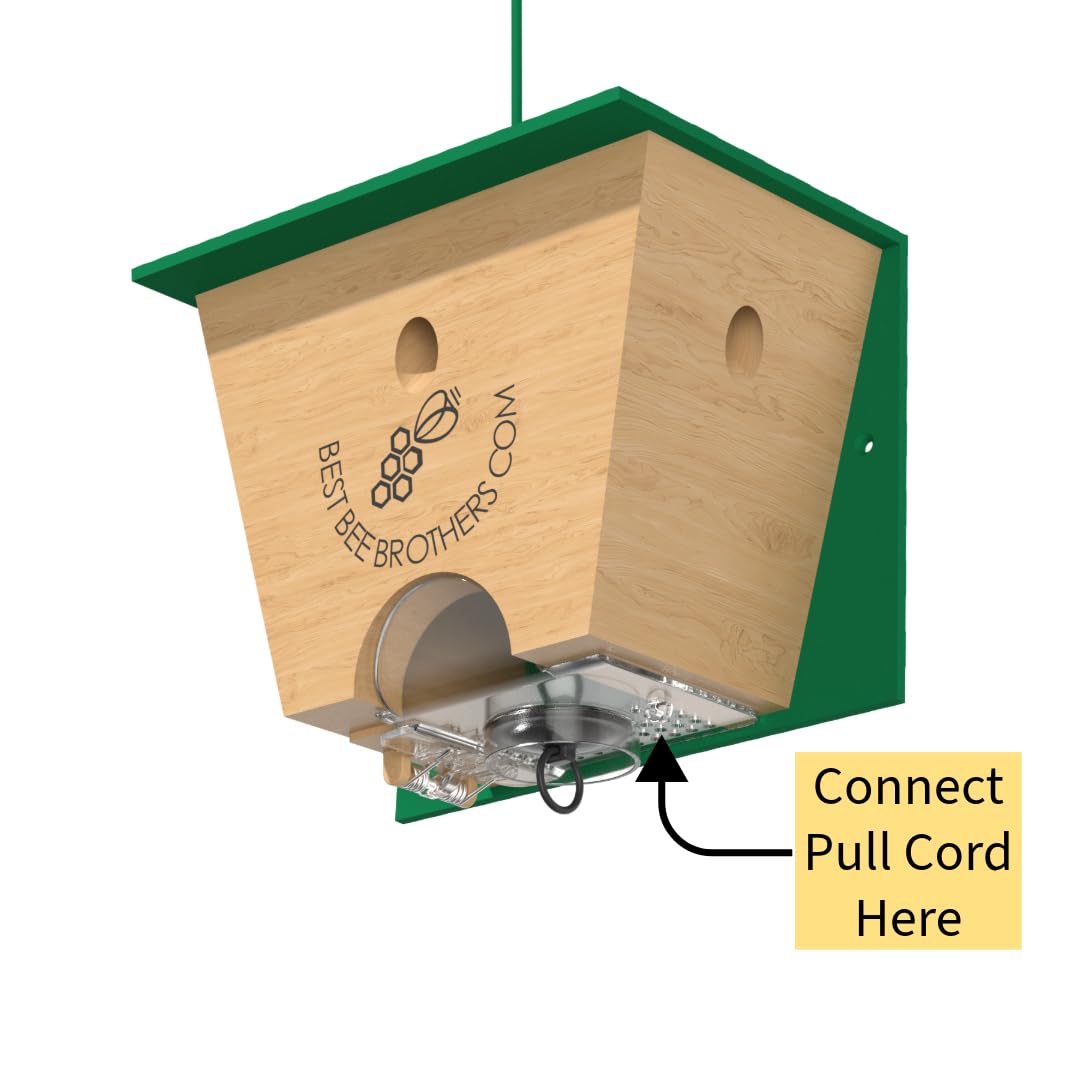 Best Bee Brothers Turbo Trap 2.0 four-chamber funnel captures more bees within 15 ft.