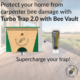 Best Bee Brothers Turbo Trap 2.0 large viewport for monitoring bee activity.