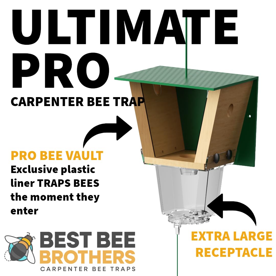 Best Bee Brothers Ultimate Pro internal bee vault securely holding bees