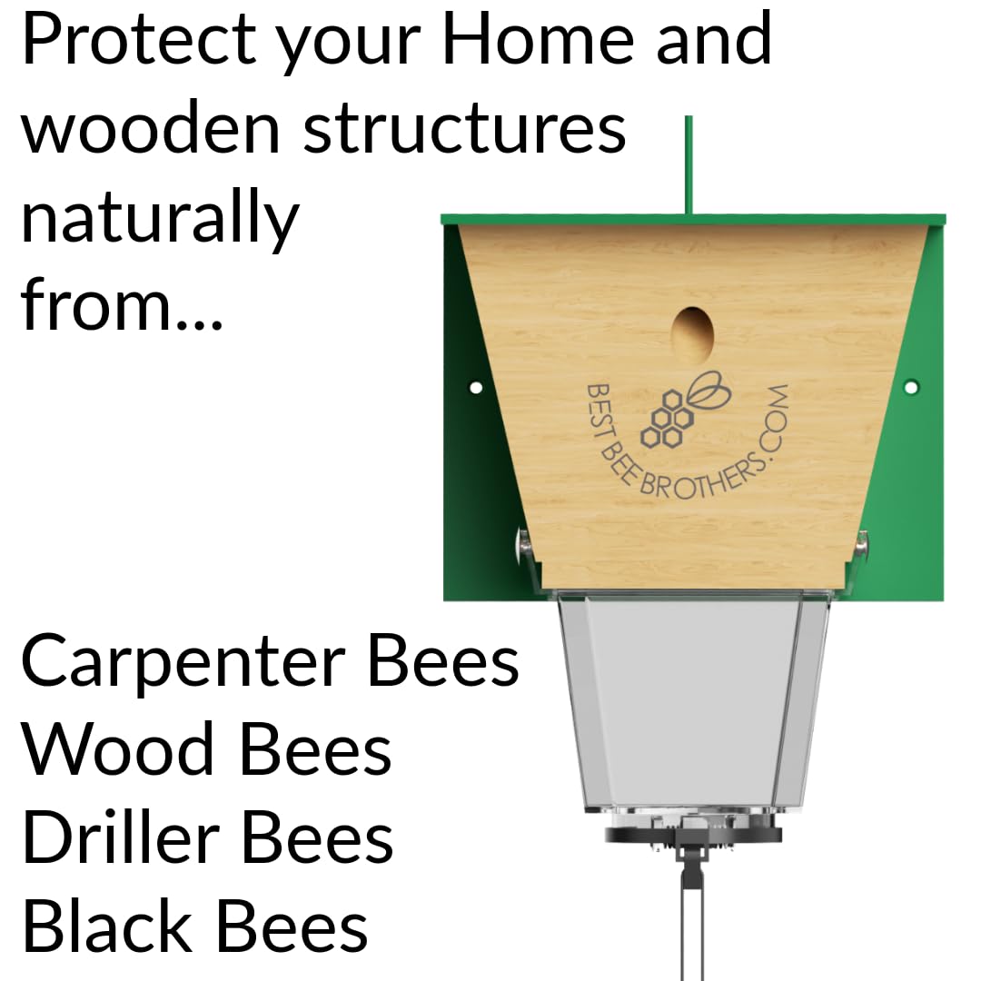 Best Bee Brothers Ultimate Pro trap aerated pheromone design lures bees effectively outdoors