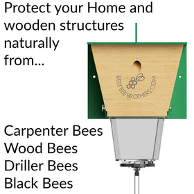 Best Bee Brothers Ultimate Pro trap aerated pheromone design lures bees effectively outdoors