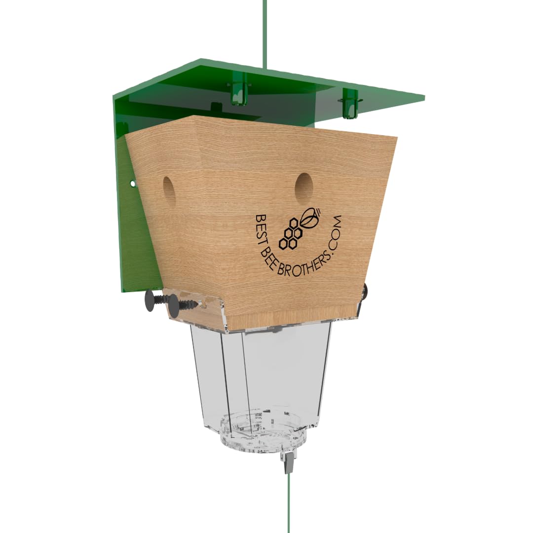 Best Bee Brothers Ultimate Pro trap 15 ft outdoor coverage protects wooden structures