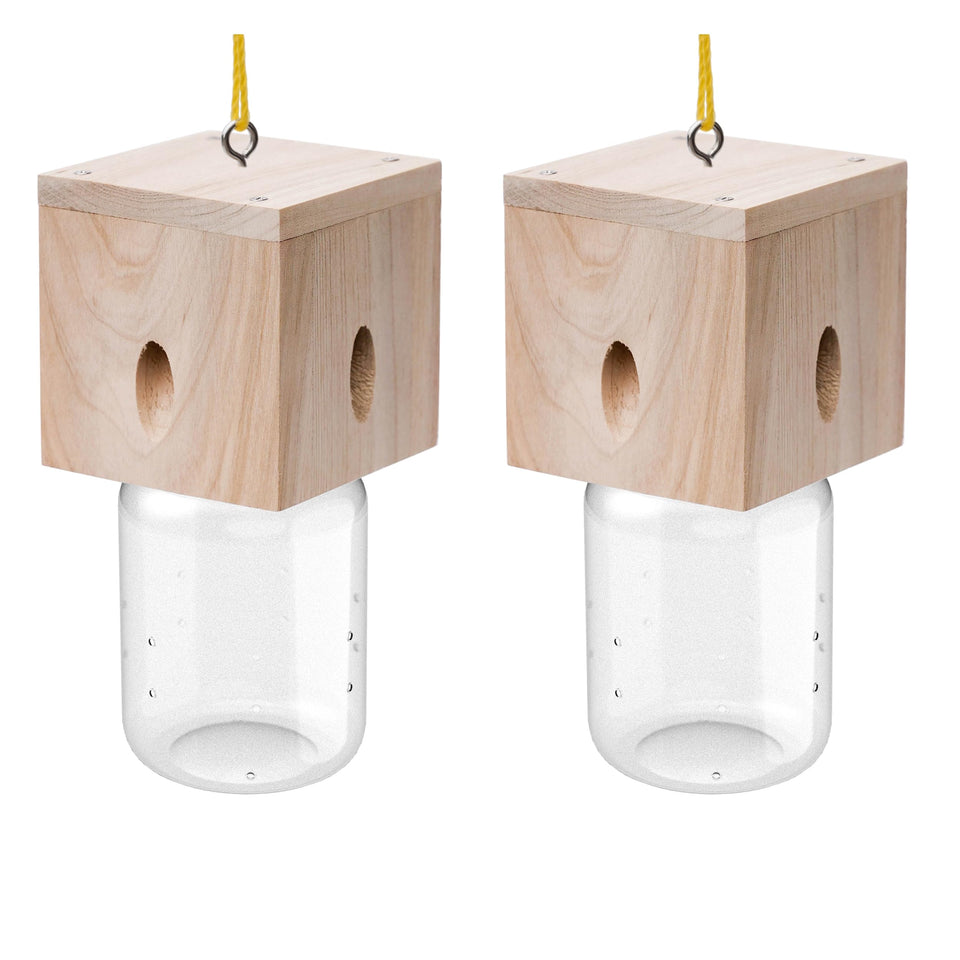 Best Bee Trap cube-style outdoor hanging unit for proactive bee control.