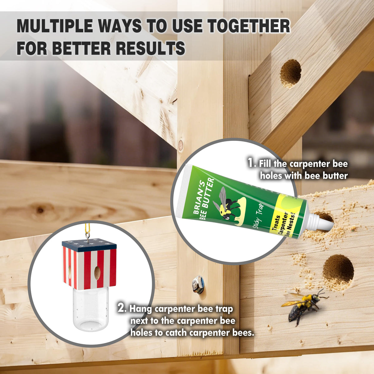Best Bee Trap attractant via pheromones from dead carpenter bees