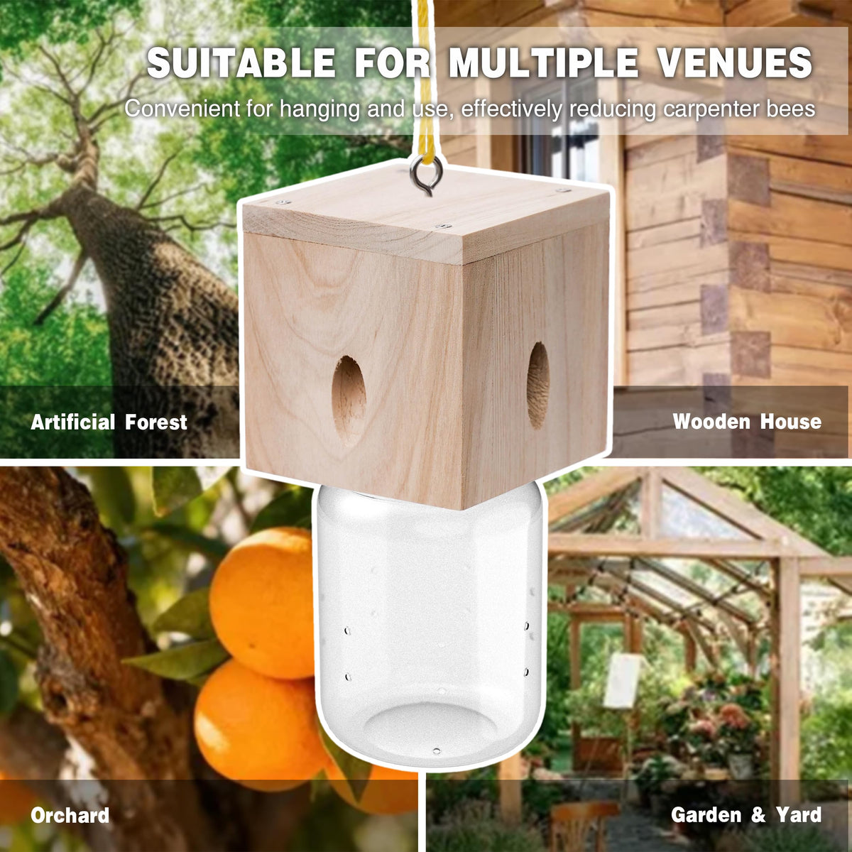 Best Bee Trap hangs 5–7 ft high in sunny spots for bee activity.