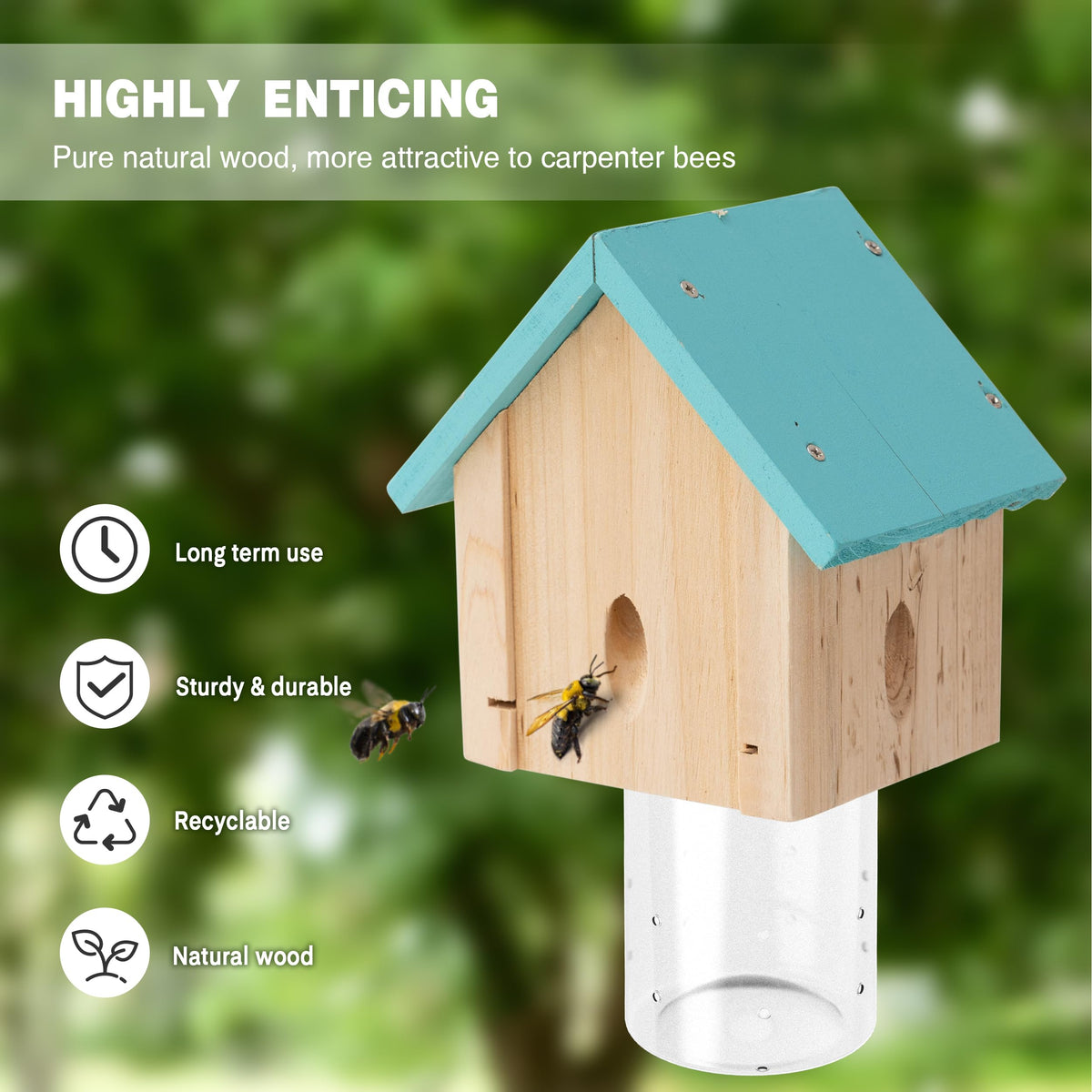 Best Bee Trap outdoor insect trap with removable vault for easy cleanup.